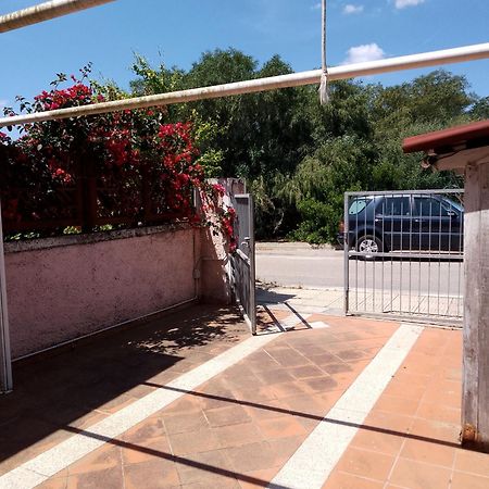 Villa Sa Minda Noa 2 Camere 2 Bagni Aria Condizionata E Giardino 올비아 외부 사진